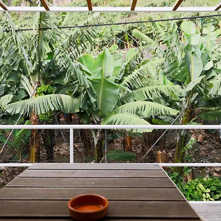 Baldeia - Oceanfront Понта-ду-Сол