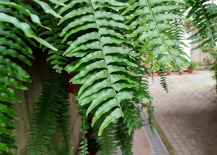 Baldeia - Oceanfront Διαμέρισμα